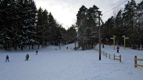 ny ski tbar eriecounty emerypark sneller halltbar