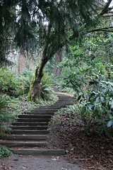 Green pathway