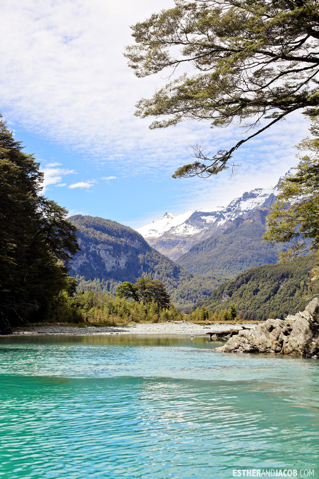 Dart River Wilderness Safari & Jetboats| Day 6 New Zealand Sweet as South Contiki Tour | A Guide to South Island