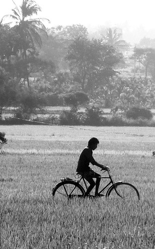 ecology bicycle countryside davangere paddyfarm