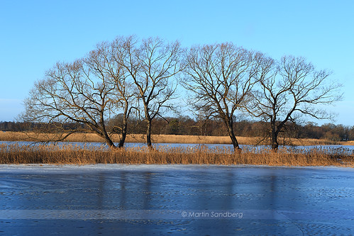 trees winter ice landscape melting sweden mariestad canonef24105mmf4lisusm canoneos6d