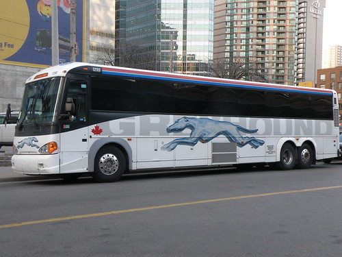 Greyhound Bus photo