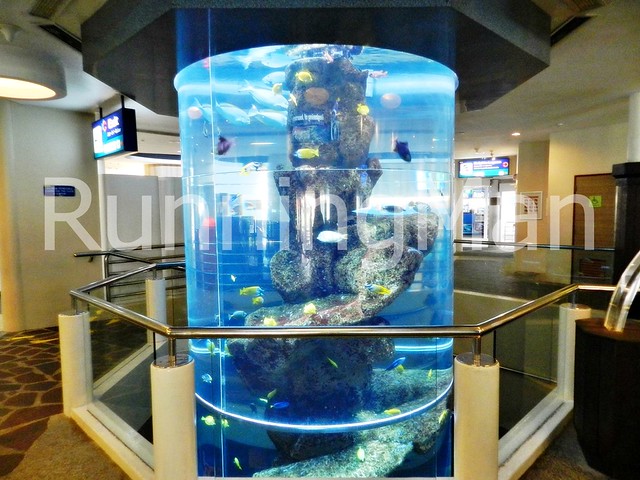 Sentosa Underwater World Singapore 01