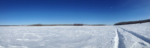 snow bluesky fields