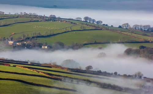 morning trees mist fog buildings landscape day sheep farmland devon brent fields agriculture tor brentor coryton