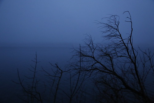 blue lake tree berlin fog dark lowkey tegelersee sooc laketegel canon:jpeg=s2 lindes:id=f1000880 views:faves=7to1
