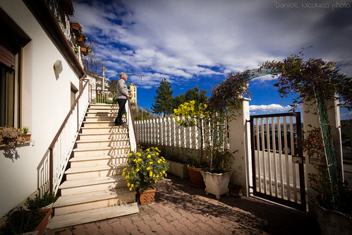 flowers shadow sky cloud house home window stairs person holding gate ship arch streetlamp horizon father wide highcontrast railway wideangle stairway climbing pots deck staircase captain vegetation daisy softfocus lamps staring ultrawide vignette flou vases abruzzo chieti