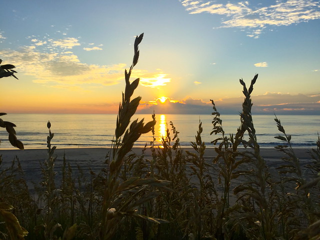 Beach sunrise with dune grass at False Cape State Park in Virginia