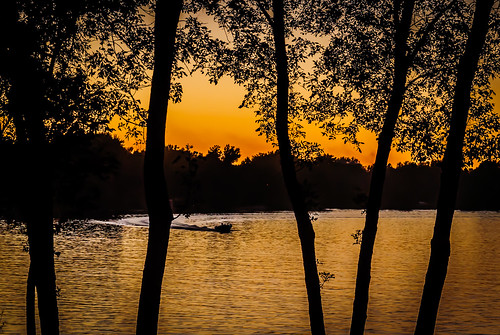 sunset serene water outdoor tree lake landscape dusk lakeside golden summer boat trees