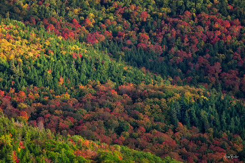 statepark autumn sunset lake ny forest canon mix hiking foliage layers adirondack placid adambaker 70200mm28l 5dmkii