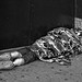 Homeless Sleeping in Doorway