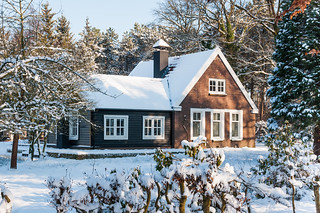 Snowy house in the forest