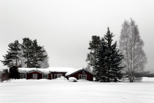 winter snow landscape sweden stuga västernorrland skedvik