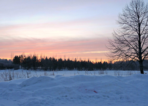 morning pink winter sky sunrise 365photos 2013365