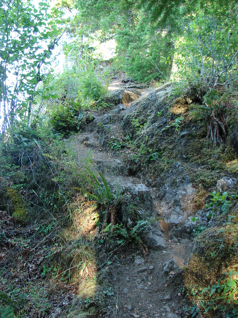 Elk Mountian Trail