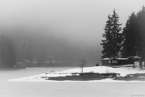winter lake snow ice fog forest deutschland see thüringen cabin woods nebel