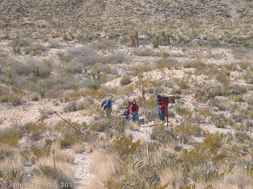Marufo Vega / Strawhouse Trails Loop: The Dry Desert – Anne's Travels