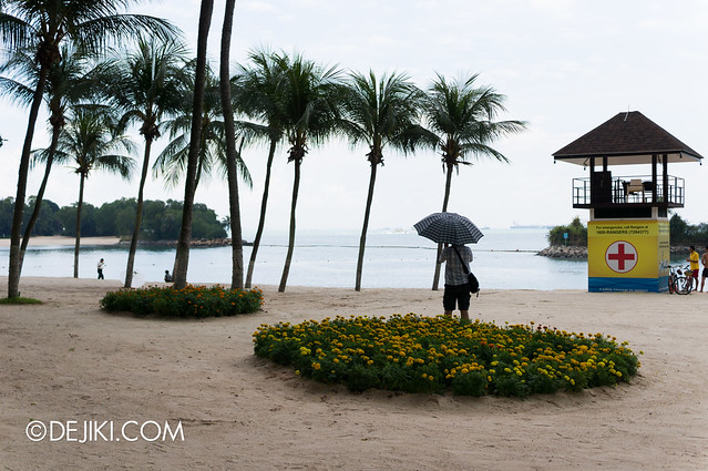 Sentosa Flowers 2013 - Flowers in the Sand