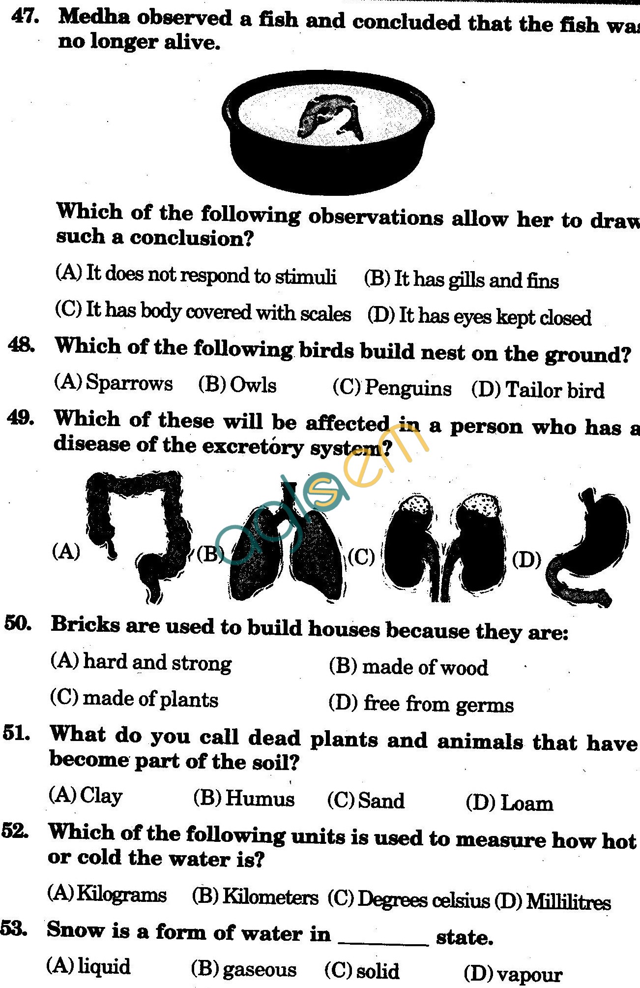 NSTSE 2010 Class III Question Paper with Answers - Science