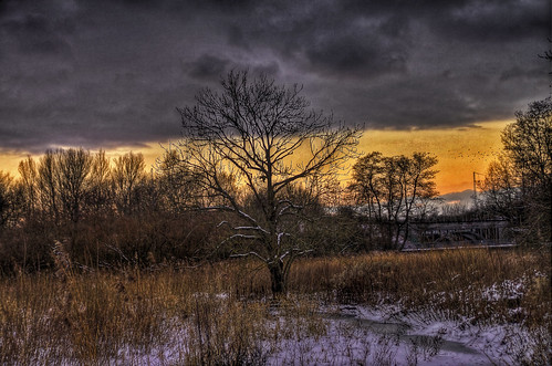 winter snow cold denmark hdr aarhus mokastet photographyforrecreation