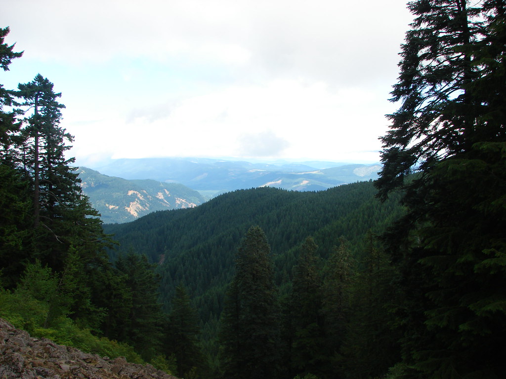 View from the Starvation Ridge Trail