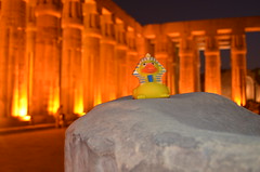 Museum duck at Luxor temple