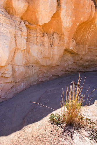 orange brown colorado unitedstates geology rockformations calhan paintminespark