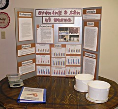 10th Grade Science Project: This One was a REAL Can of Worms! | The ...