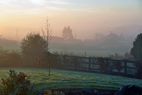 2014 countycavan foggy garden relaghbeg sunrise