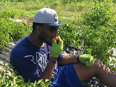 Georgetown University Hoyas (men's basketball team) visit the Orchard