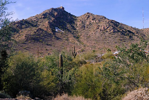 arizona cactus mountains desert az ajo ajoarizona ajoaz