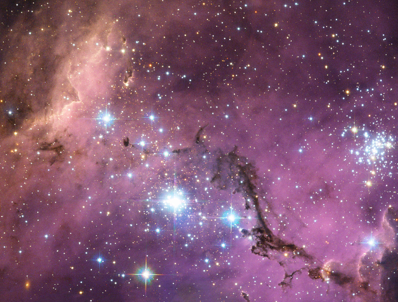 Hubble Sees Hidden Treasure in Large Magellanic Cloud