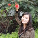 P2172643 果郡王 合歡花