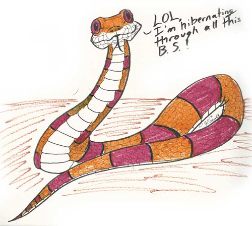 2.10.13 - Year of the Snake!