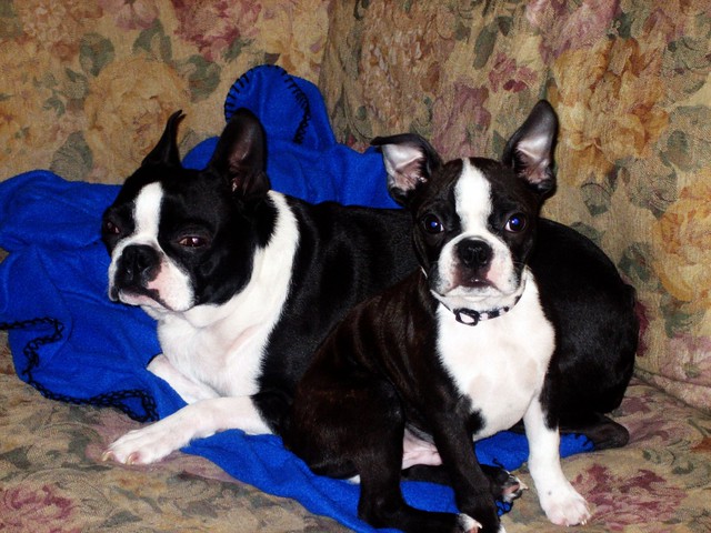 Heidi and Bruno sitting on a couch.