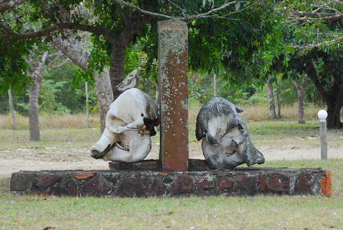 mozambique 2011 pontadoouro