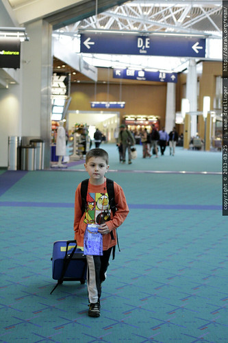 sequoia, finding gate c13 all by himself    MG 3671