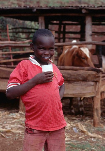 Kenya farm boy drinking milk