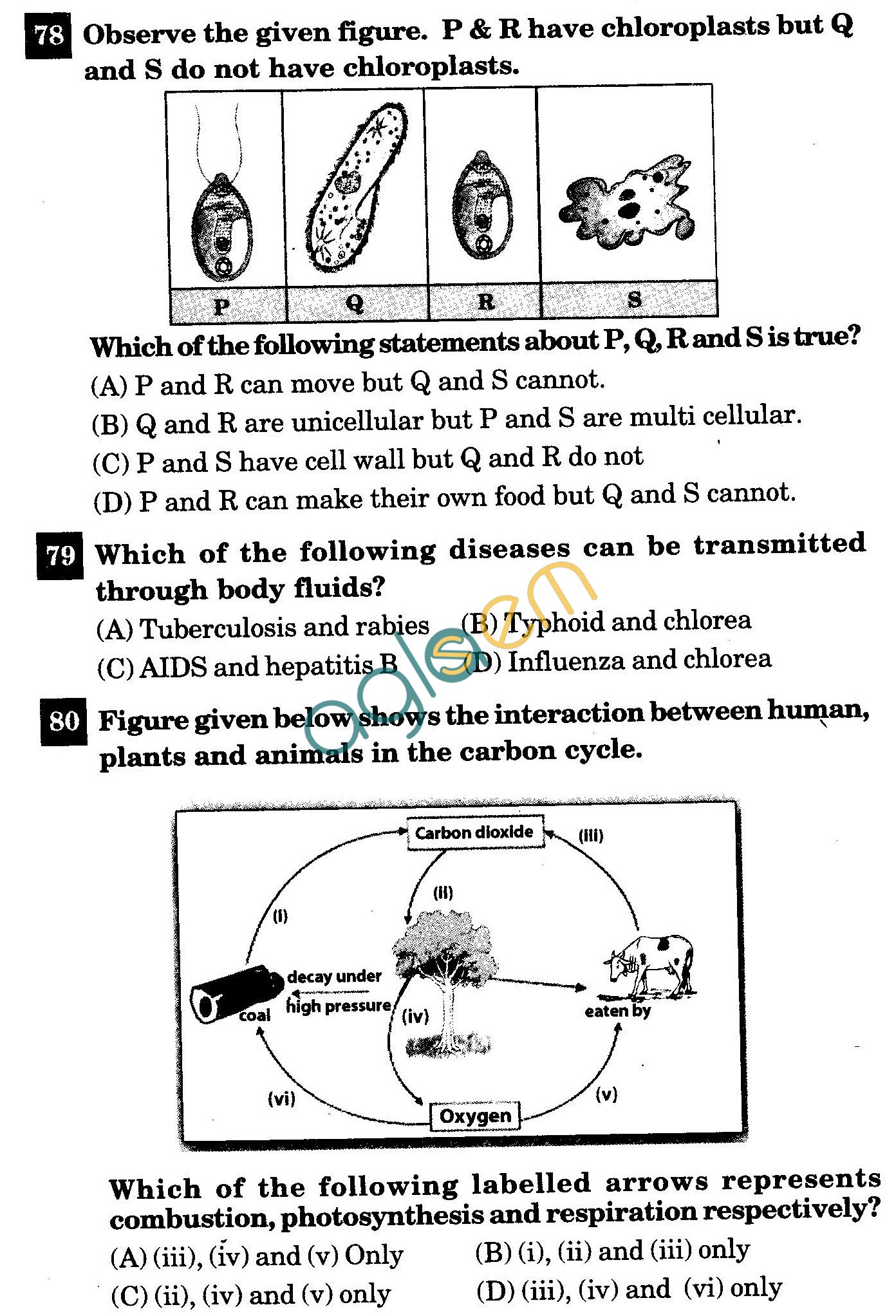 Class IX Question Paper with Answers - Biology