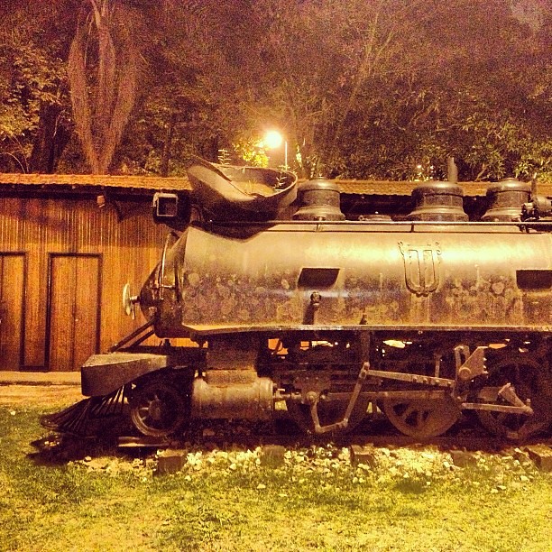 Derelict train in a park