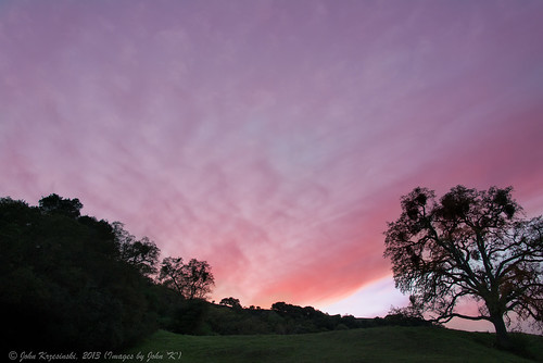 california trees sunset sky clouds nikon unitedstates pleasanton ebrpd johnk pleasantonridge d600 eastbayparks pleasantonridgeregionalpark nikond600 eastbayregionalparksdistrict ebparksok johnkrzesinski randomok