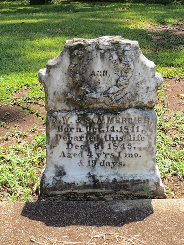 ©lancetaylor posrus georgia earlycounty gravestone headstone