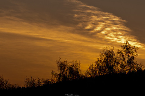 light sun licht himmel wolken sonne bäume sonnenaufgang morgen schatten sól götterdämmerung morgenröte