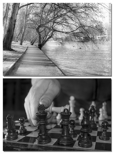 white black monochrome landscape noir noiretblanc chess paysage blanc échecs