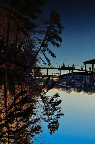lake dock norman lakenorman hangingtree flippedpicture