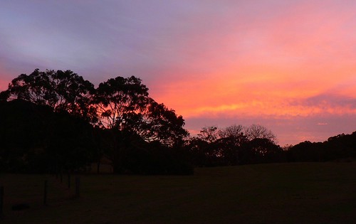 sunset day cloudy australia victoria capeotwaynationalpark