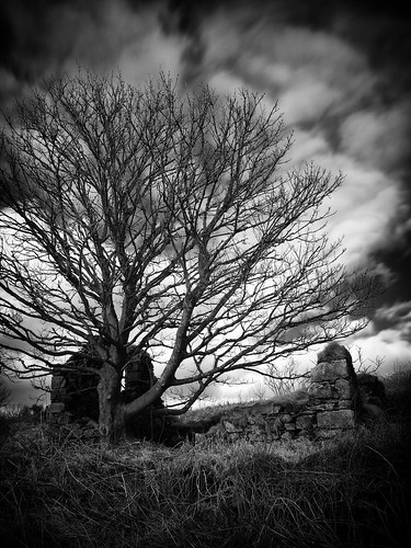 uk winter bw white black tree abandoned silver geotagged ir scotland long exposure aberdeenshire olympus structure le infrared gps february zuiko 43 omd q1 m43 fourthirds muchalls 2013 em5 efex mirrorless 1442mm mmf3 micro43 microfourthirds 201302 20130209