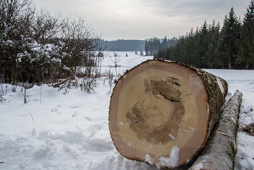 wood schnee winter snow tree nature canon germany landscape bayern deutschland bavaria eos 4 natur trunk holz landschaft baum lightroom möhren eiche baumstamm 2013 60d andy81