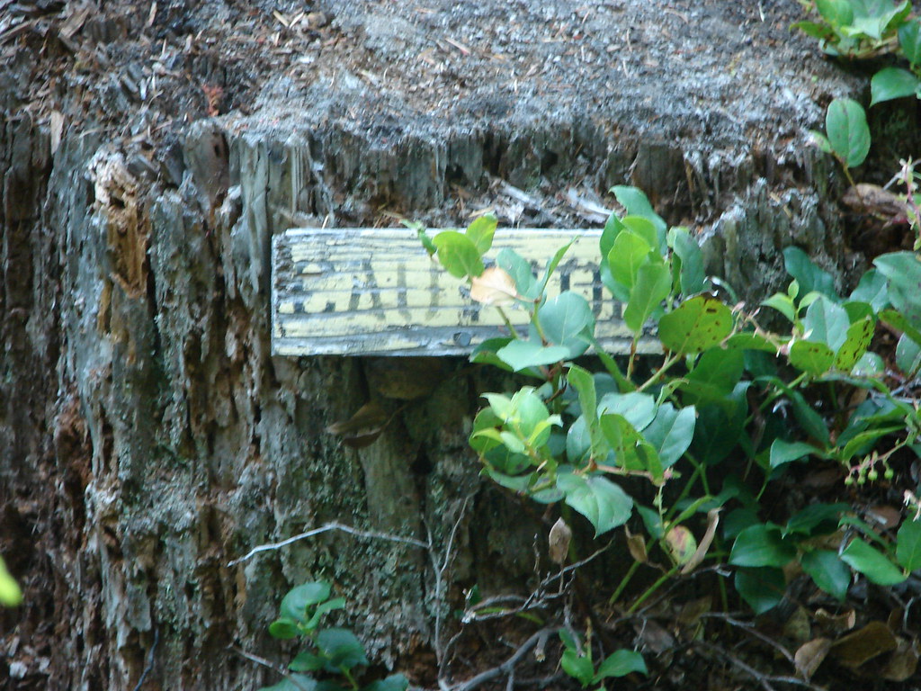 Caution sign along the Kings Mountain Trail