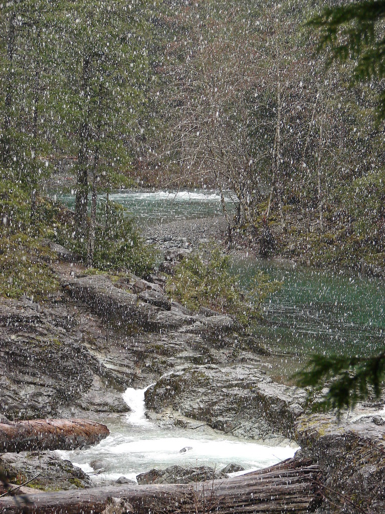 Snow falling on the Little North Santaim River